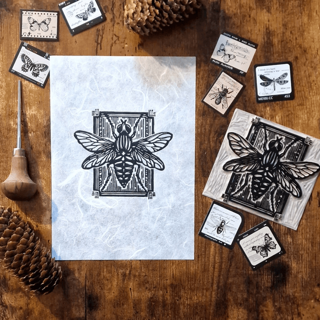 Linogravure - L'insecte - La Mouche