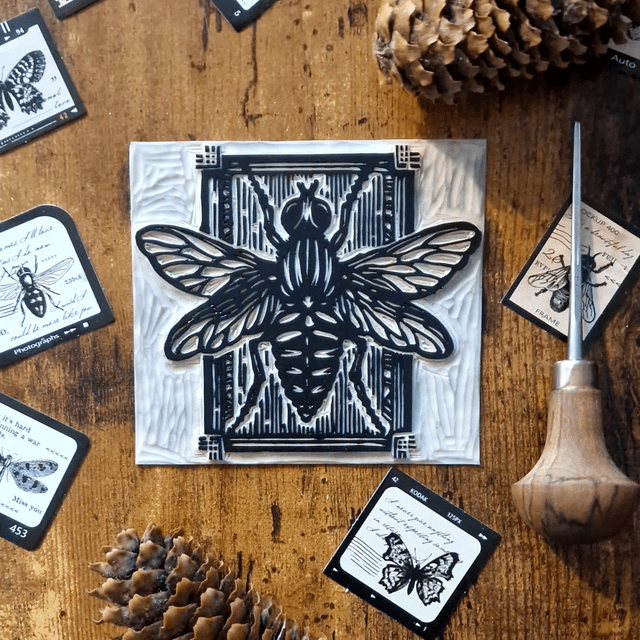 Linogravure - L'insecte - La Mouche